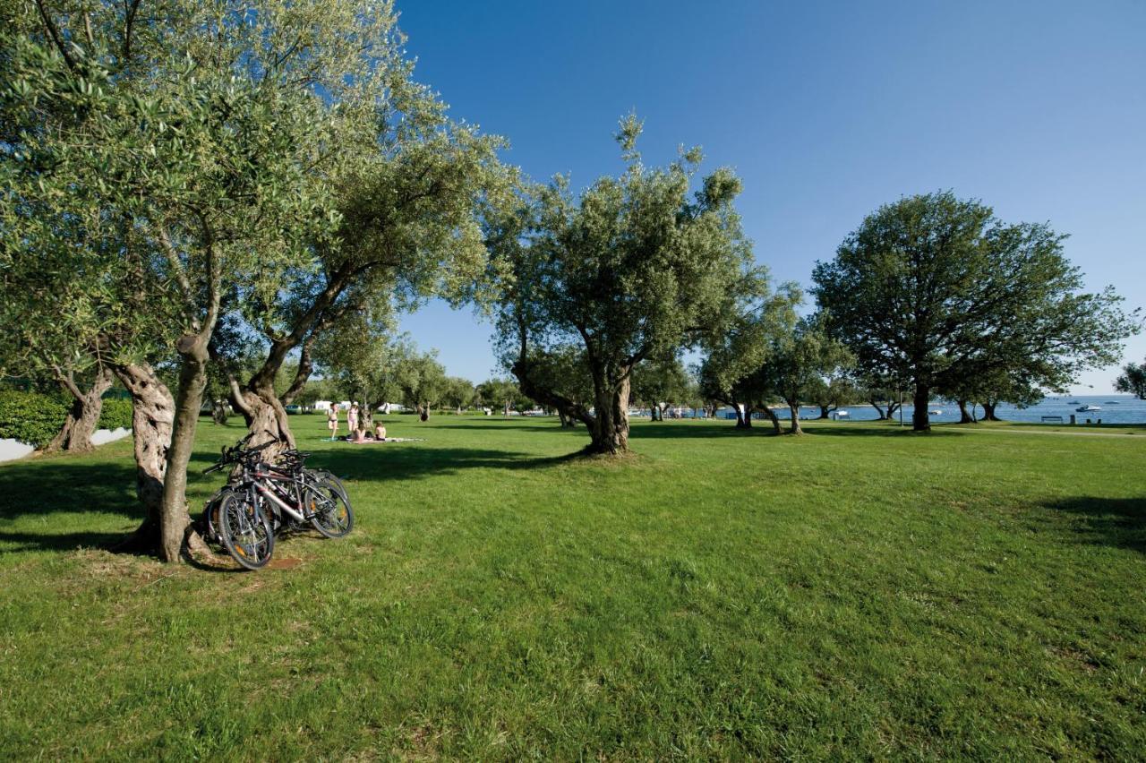 Park za odmor Maistra Polari Mobile Homes